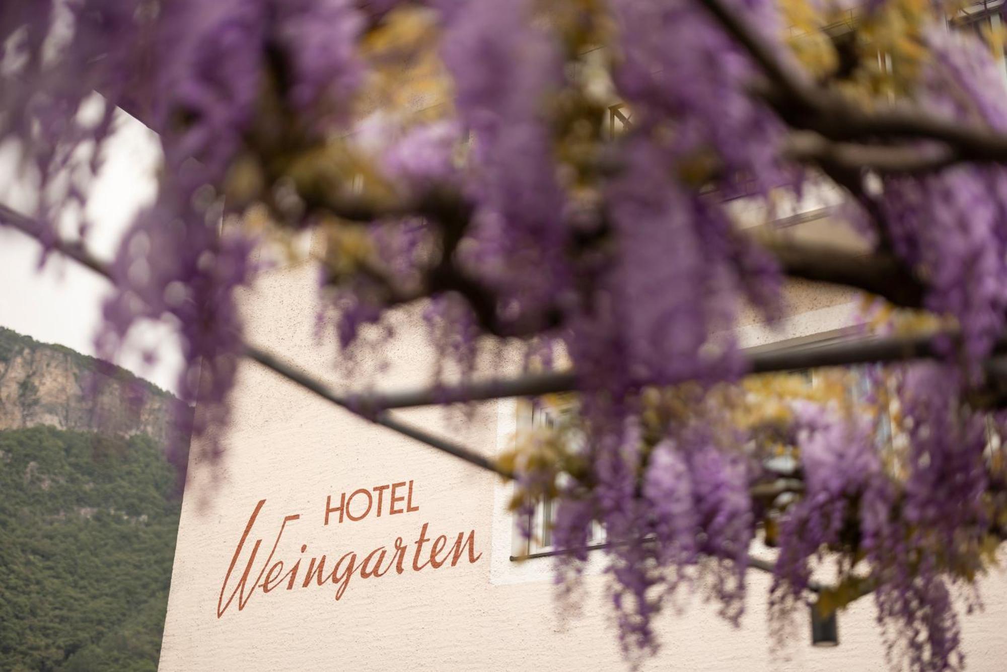 Weingarten Terlan - Rooms & Breakfast Kültér fotó